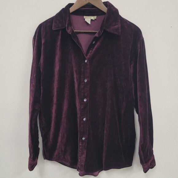 VTG The Territory Ahead Womens Career Velvet Button Up Top Size M Fairy Grunge - Picture 1 of 8